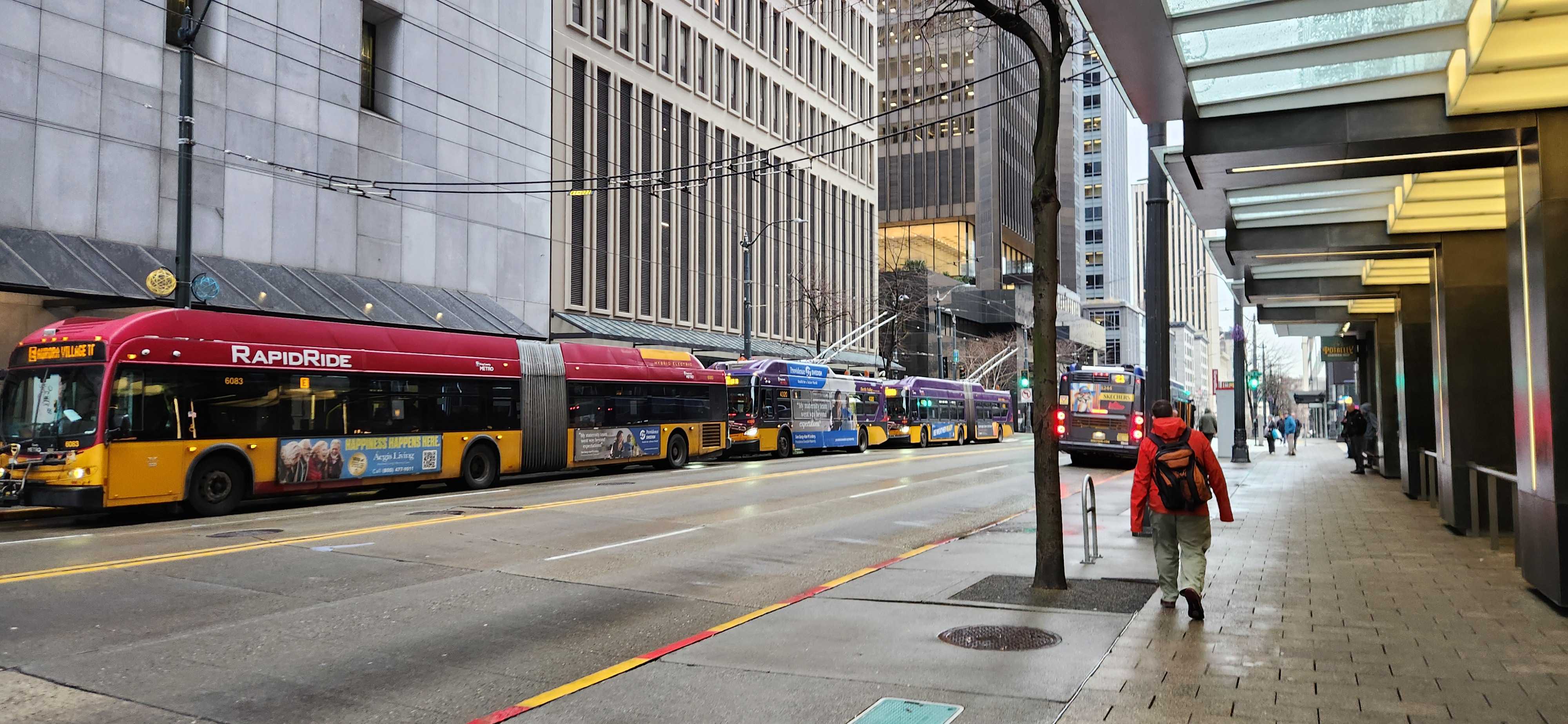 Buses on 3rd ave.